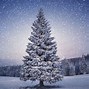 Image result for Holiday Snow Wallpaper