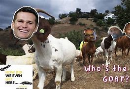 Image result for Who's the Real Goat