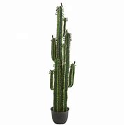 Image result for Artificial Cactus Tree
