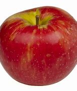 Image result for Apple Extra Small