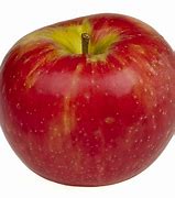 Image result for Apple Fruit Types