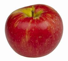 Image result for 23 Gala Apples