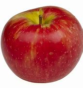 Image result for Gala Apple