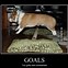 Image result for Funny Life Goals