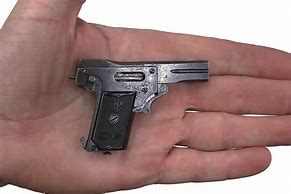 Image result for World's Smallest Working Gun