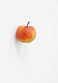 Image result for Apple Fruit Types