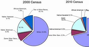Image result for Ethnic Race Types