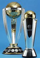 Image result for Cricket Winner Trophy