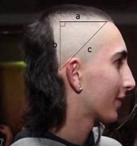 Image result for Mullet Haircut Meme