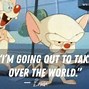 Image result for Pinky and the Brain World Domination Meme