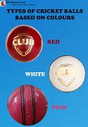 Image result for Cricket Insect Food