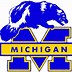 Image result for Michigan Wolverines Logo Outline
