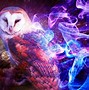 Image result for Owl Cute Colorful