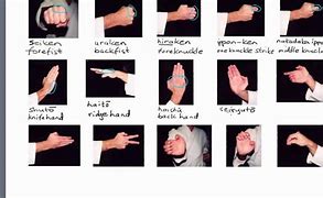 Image result for Martial Arts Hand Strikes