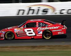 Image result for NASCAR 8 Budweiser