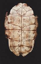 oracle bone inscriptions 的图像结果