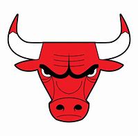 Image result for Bulls Logo