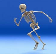 Image result for Skeleton On Ground