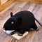 Image result for Plush Rat Cute