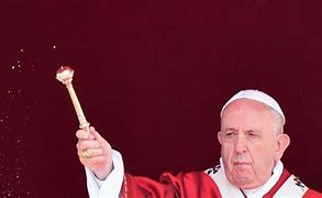 Image result for Pope Francis Costume