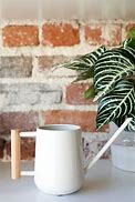 Image result for Watering Can Indoor Grow