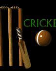 Image result for Free Hit Cricket