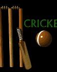 Image result for Cricket iPhone/iPad