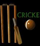 Image result for Cricket Activity