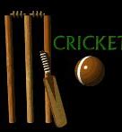 Image result for Anime People Playing Cricket