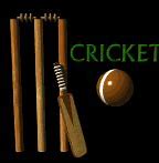 Image result for Cricket Sayings