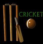 Image result for Cricket Meal
