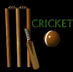 Image result for Cricket Game Quotes