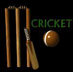 Image result for Cricket Person Outline