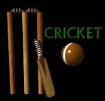 Image result for Back Yard Point in Cricket