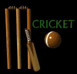 Image result for Cricket Kid's Prizes