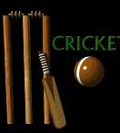 Image result for Number 6 Cricket