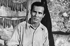 Image result for Henry Silva