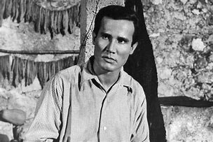 Image result for Actor Henry Silva Dies at 95
