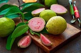 Image result for Guava