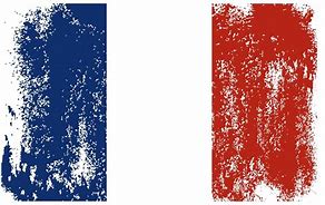 Image result for French Empire Grunge Flag