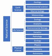 Image result for Branches of Earth Science