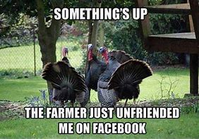 Image result for Funny Weird Thanksgiving Memes