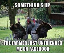 Image result for Thanksgiving Weekend Meme