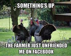 Image result for Thanksgiving Memes
