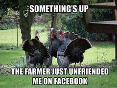 Image result for Thanksgiving Monday Meme