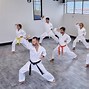 Image result for Picture of a List of Didfferent Martial Arts Styles