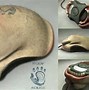 Image result for Coolest Mouse Designs