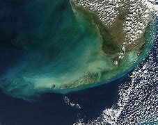Image result for Florida Keys Key West