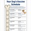 Image result for Printable Puppy Shot Record Form