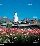 Image result for Xiao Wutai Shan